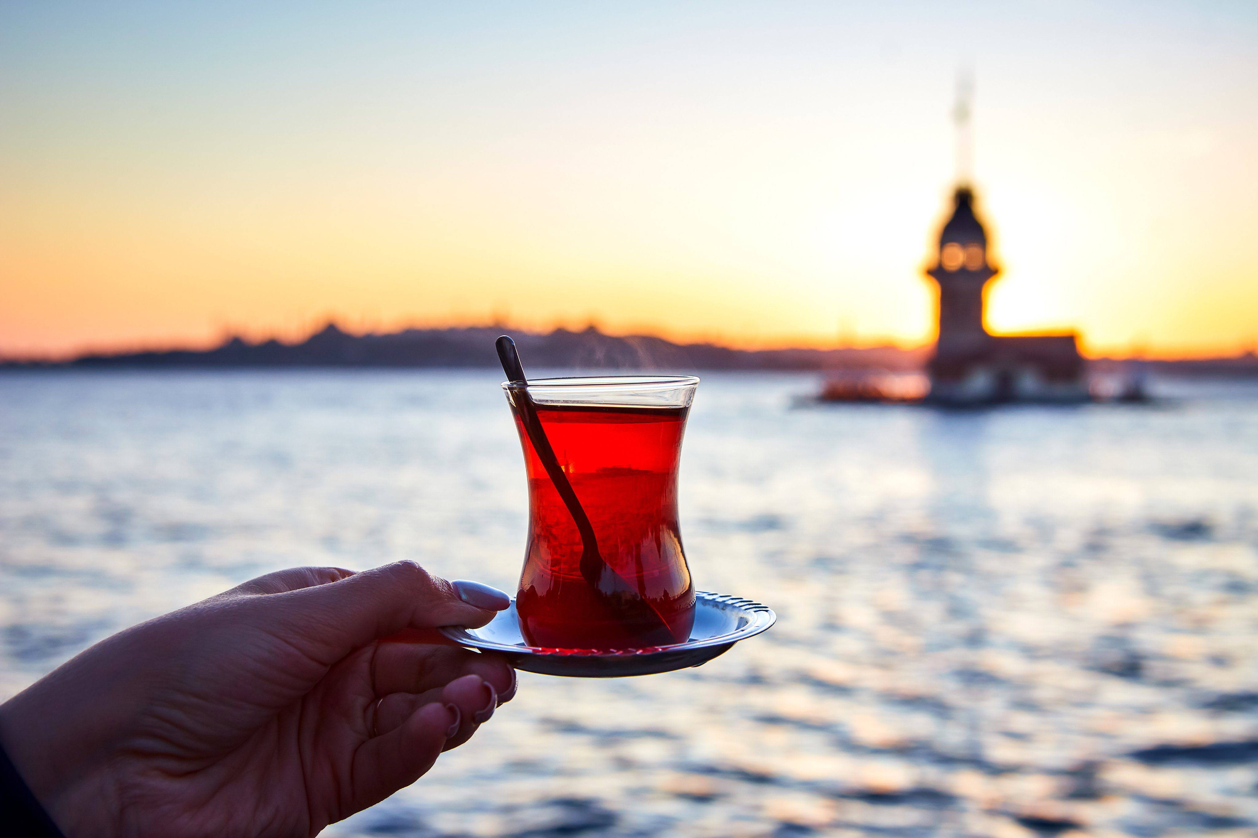 Enjoy a Bosphorus Tour and Turkish Tea